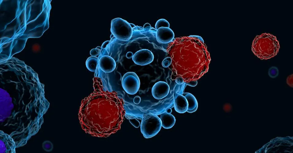 New CAR-T Therapy Targets CD22 to Treat Follicular and Mantle Cell Lymphoma image