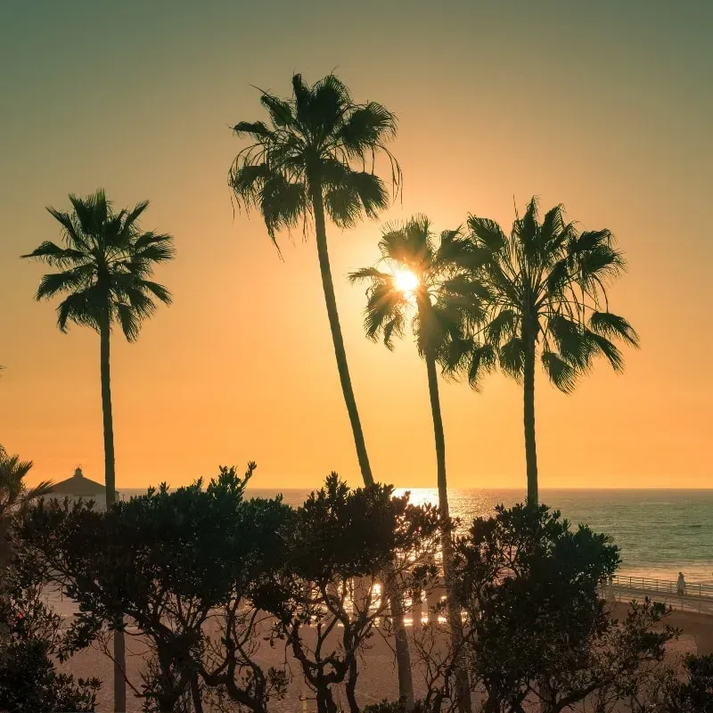 SoCal Myeloma Community Chapter: Real-World Guidance from an Oncology Pharmacist image
