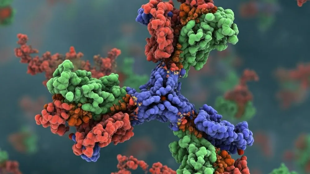 Is There Hope for Trispecific Antibodies in Myeloma Care? image