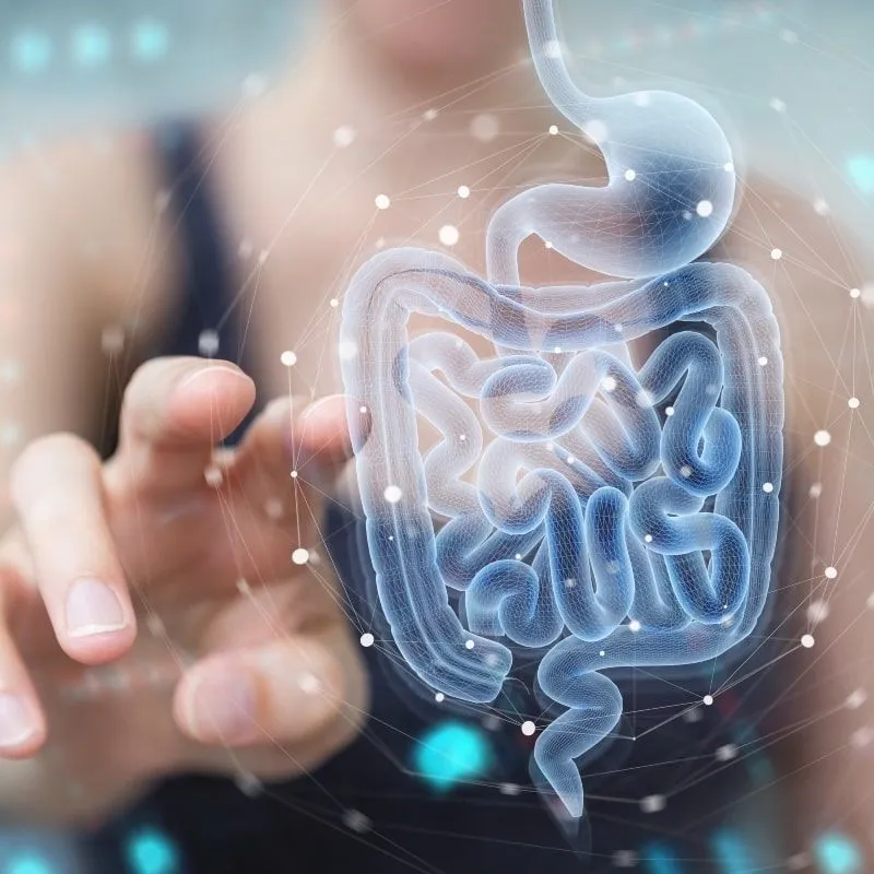 Microbiome 101: Learning about Gut Health for Myeloma Patients and Caregivers  image