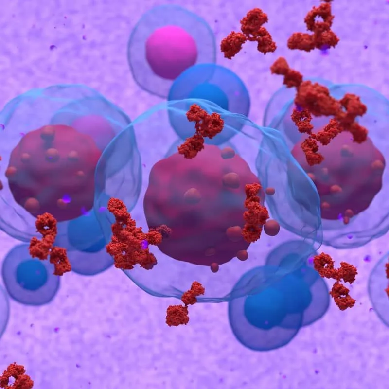 A Is for Antibody in Multiple Myeloma image