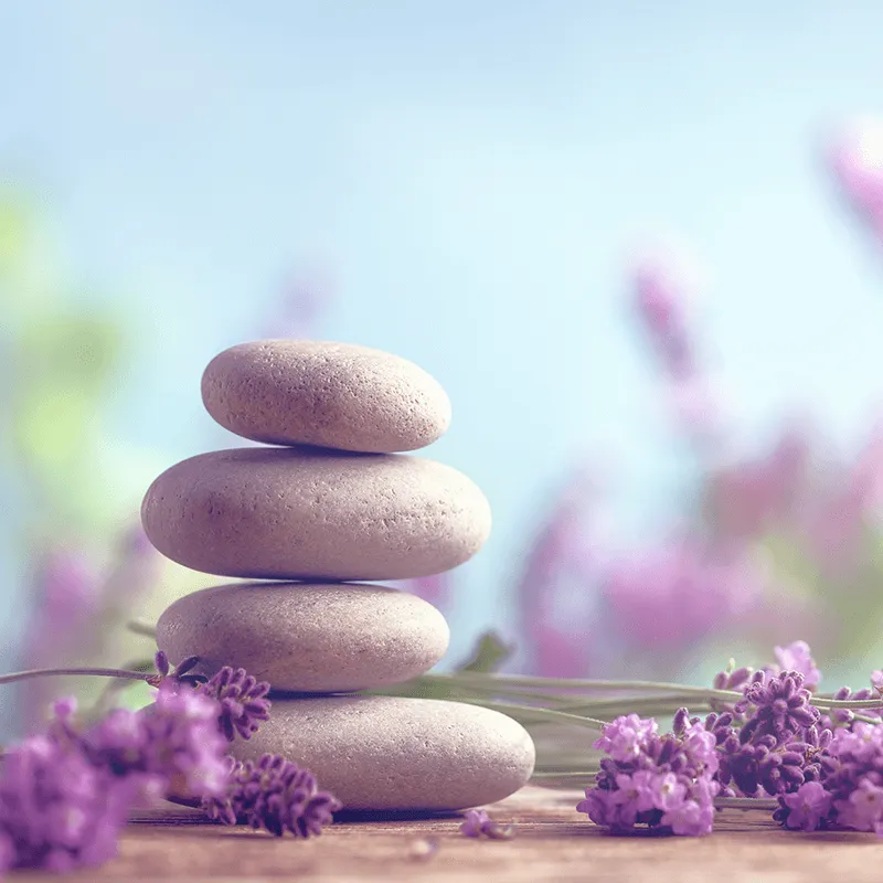 Starting your Year Stress Free image