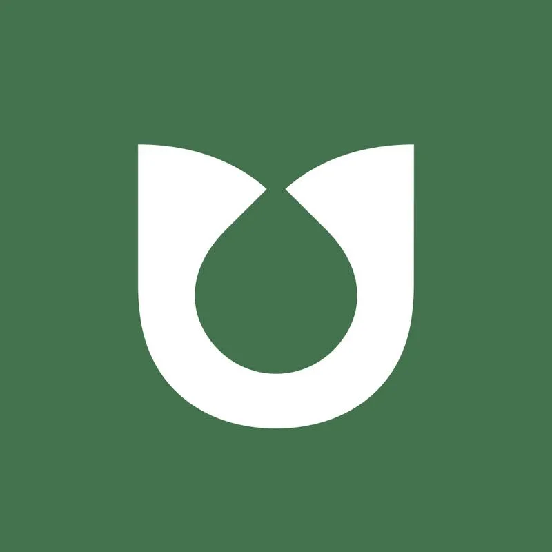 The Creation of HealthTree University image