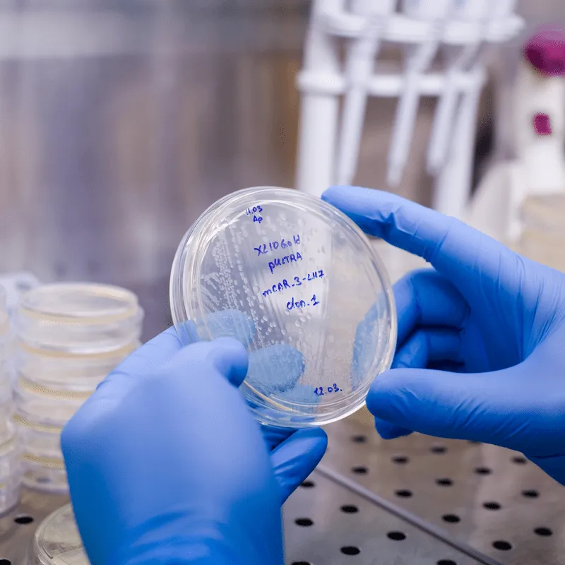 Getting to Know the Abecma (ide-cel) CAR T Therapy image