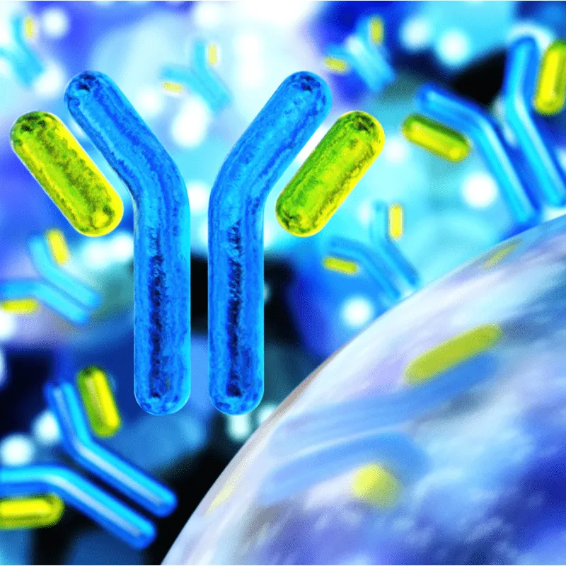 New Treatment/Salvage Therapy for PCL (Newly Diagnosed + Veteran PCL) image