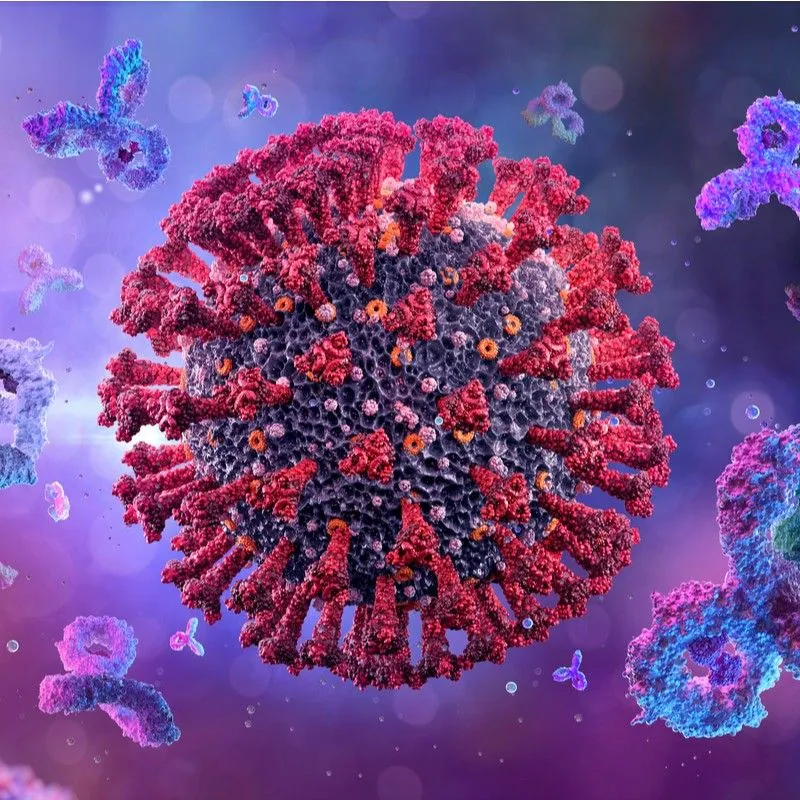 How Myeloma Patients are Responding to the COVID-19 Vaccines image