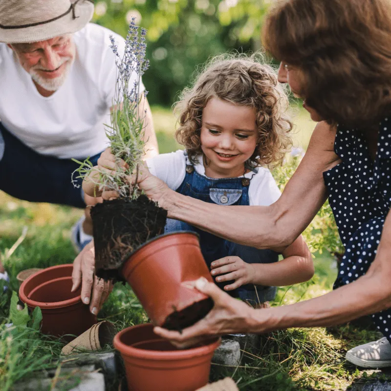 Turning Daily Tasks into Physical Activity with HealthTree Moves image