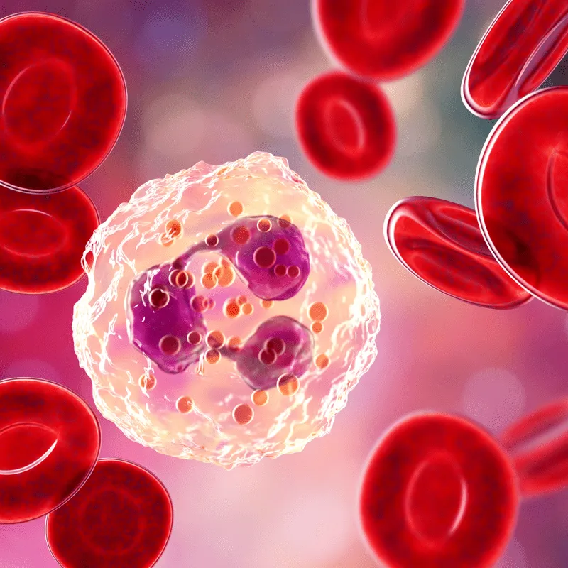 How Does Inflammation Relate to Cancer? image