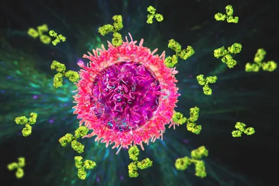 Evorpacept - A Next-Generation CD47 Inhibitor in Phase I Study for Patients With Relapsed-Refractory Lymphoma image
