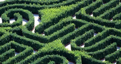 ¿Por Qué Es Tan Complicado el Mieloma? image