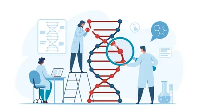 Is CLL Hereditary? image