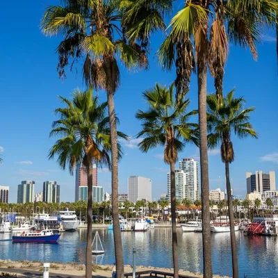 SoCal In-Person Myeloma Community Day image