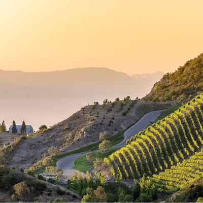 SoCal Myeloma Community Chapter: CAR-T Update and Q&A with Dr. Myo Htut from City of Hope image