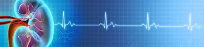 101 article: What is Kidney Disease?