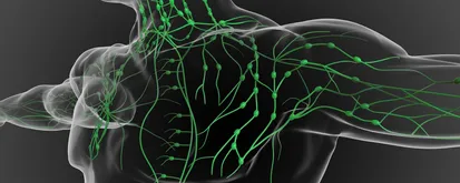 101 article: What is Follicular Lymphoma?