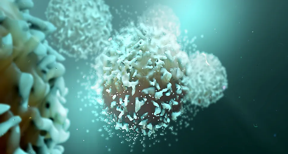 How Do CAR-T Cells Kill Myeloma? image