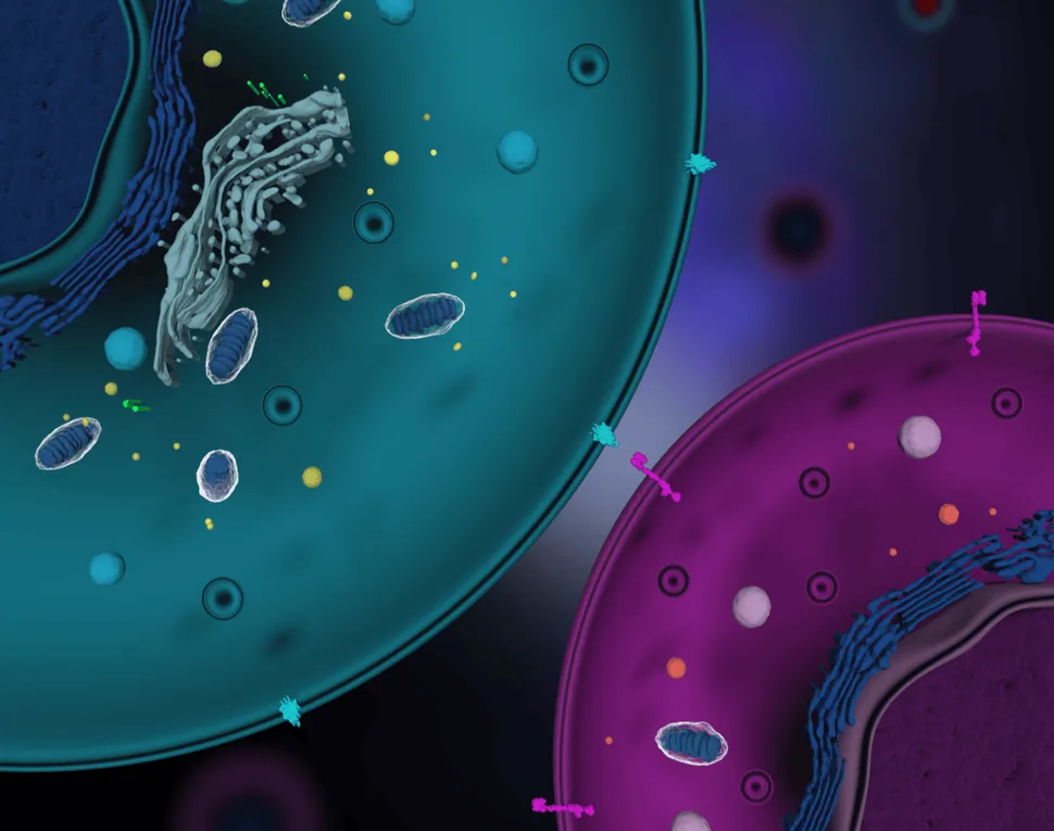Real-World Data on CAR T-Cell Therapy in Multiple Myeloma image