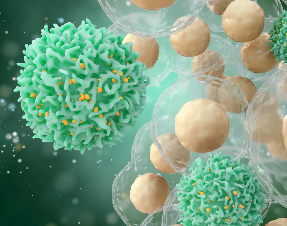 CAR-T Constructs and the Potential Future Promise of OX40-CAR-T in Multiple Myeloma image