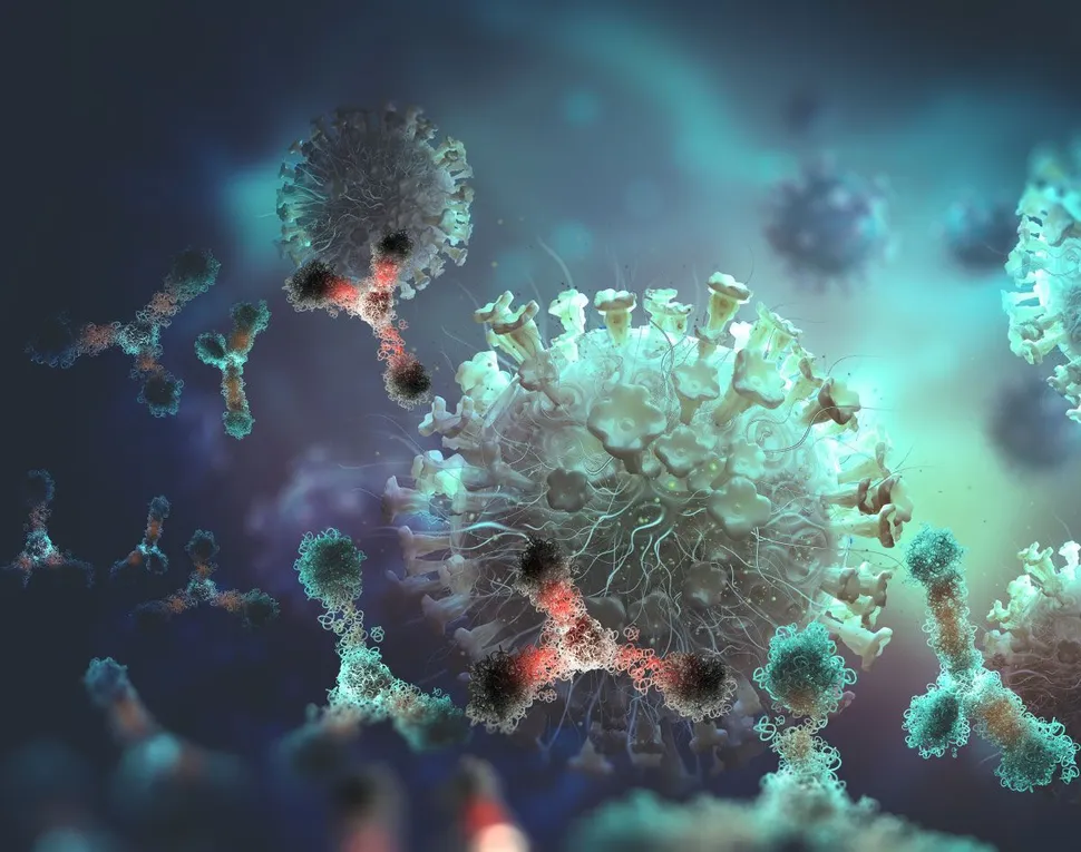 Multiple Myeloma Bispecific Antibody Talquetamab Update image