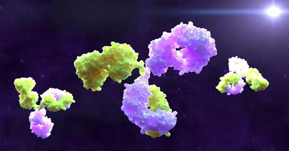 Early Work on ABL602: A Bispecific Antibody That Targets CLL-1 To Eliminate AML Stem Cells image