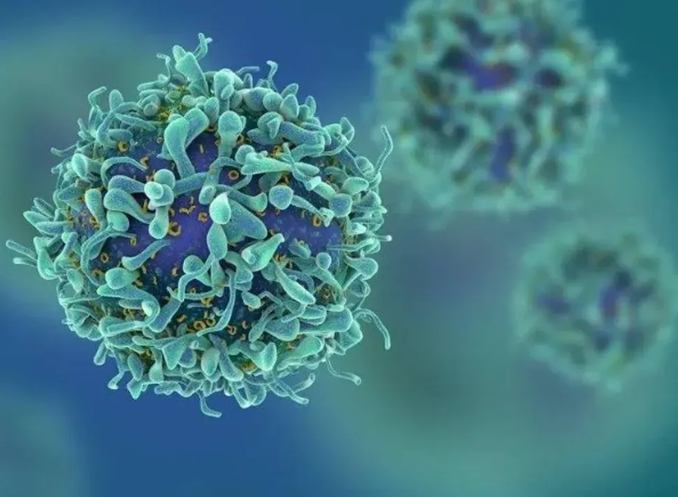 Gracell Biotechnologies: Surmounting CAR-T Myeloma Challenges? image