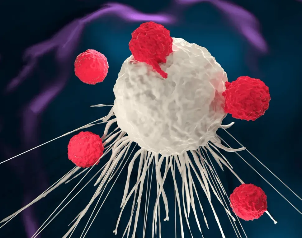 New AML CAR-T Therapy in the Works: CD70 and Azacitidine image