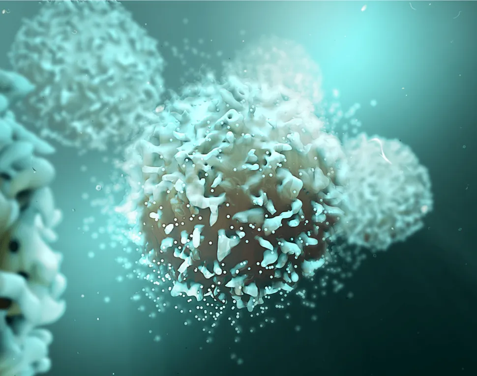 VOR33 Receives Fast Track Designation to Treat AML image