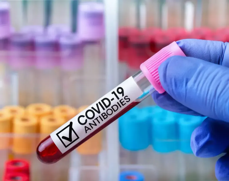 Antibody Responses to the Pfizer-BioNTech Vaccine for Allogeneic Transplant Recipients image