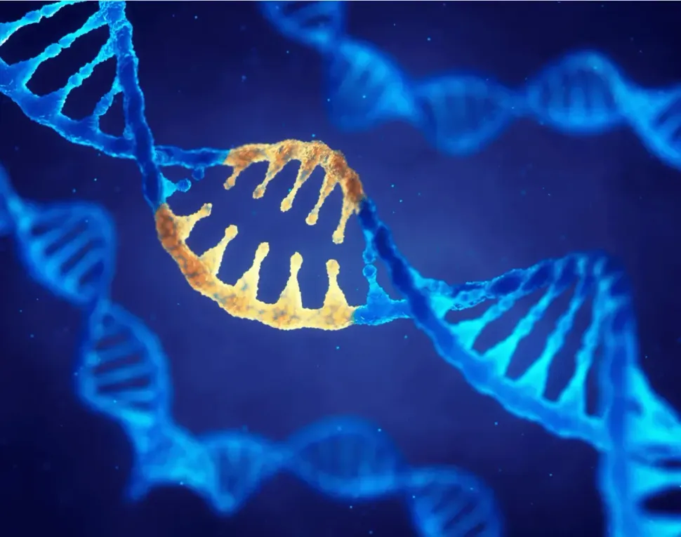 Moving Toward A Personalized Medicine Approach for Treating AML image