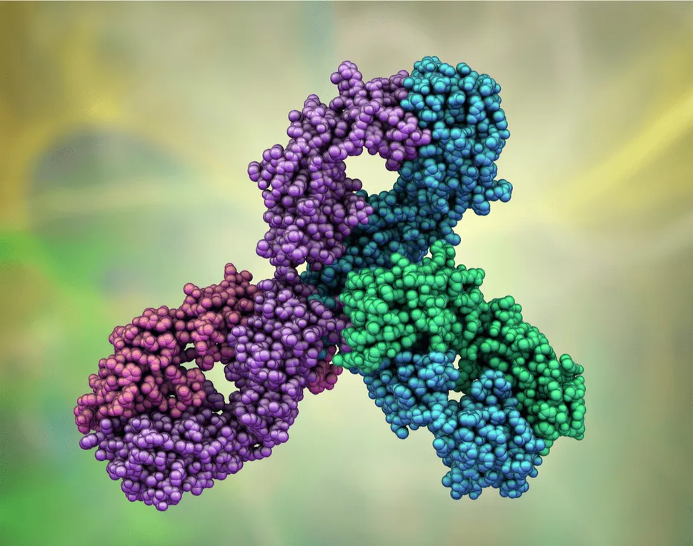 Pembrolizumab (Keytruda): An Immunotherapy Option Given After Chemotherapy for AML image