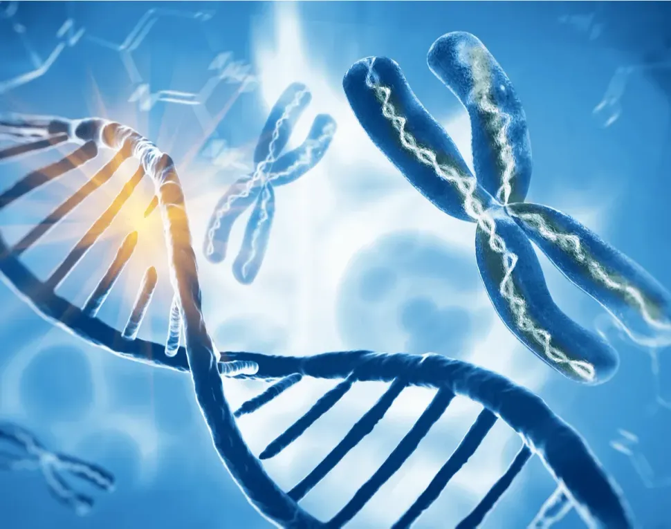 Understanding The IDH1 And IDH2 Mutations image