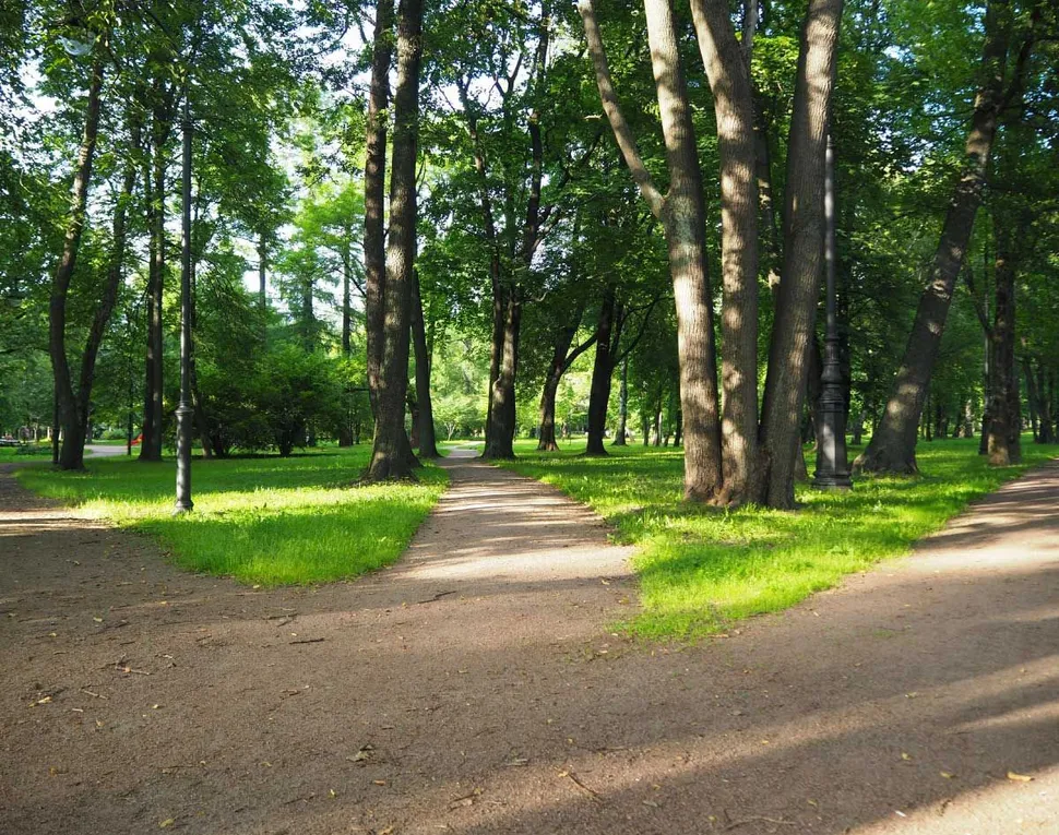 Myeloma Therapies: CAR-Ts, Bispecific Antibodies and Antibody Drug Conjugates - How do you Choose? image