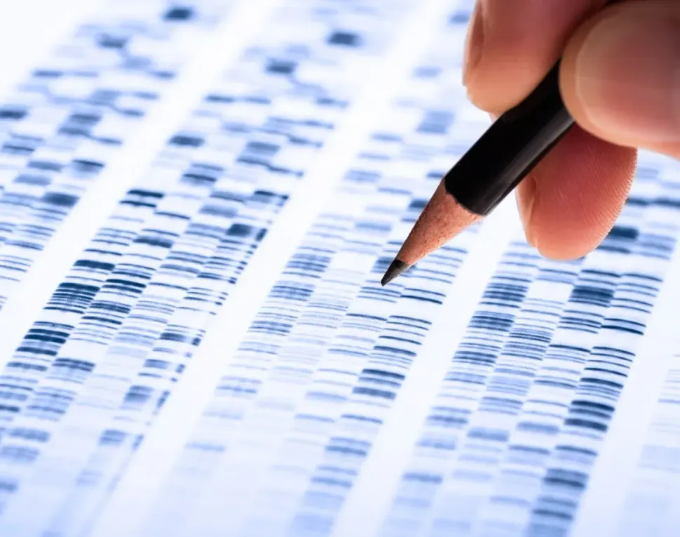 Three Genes That Indicate a Potential Response to Selinexor Myeloma Therapy image