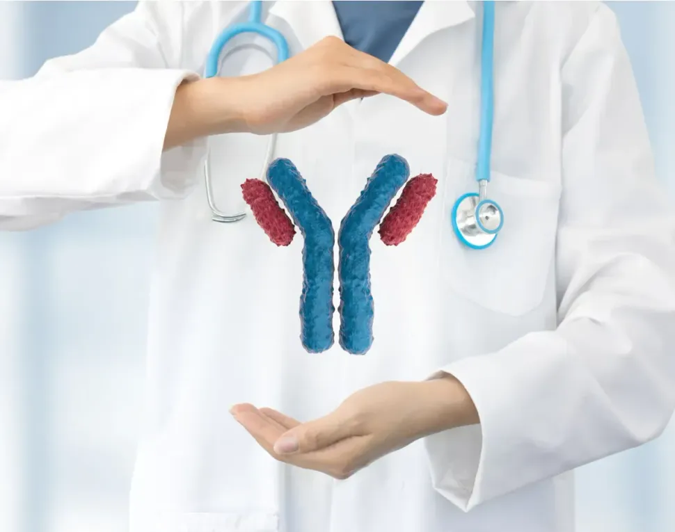 What are Bispecific Antibodies and How are They Used in Treating Multiple Myeloma? image