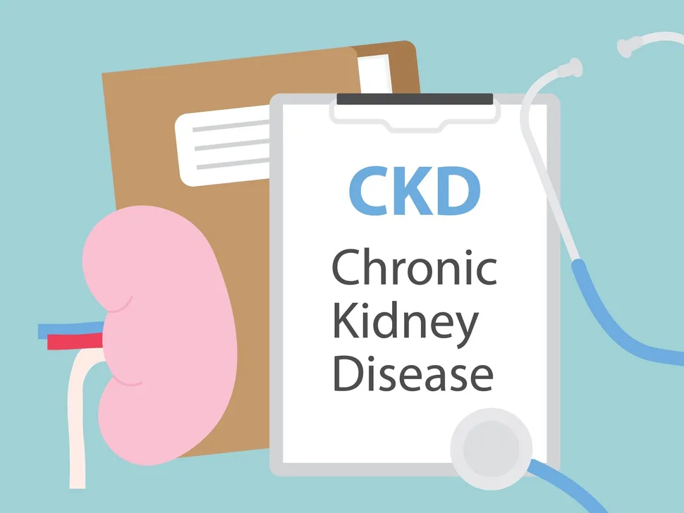 What is Chronic Kidney Disease (CKD)? image
