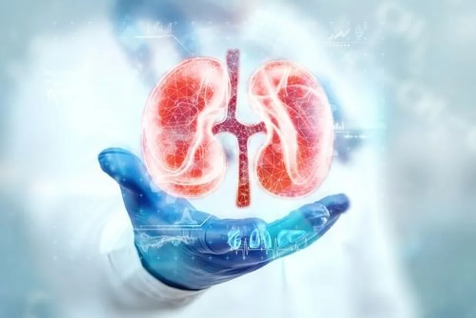 What are the Signs, Symptoms and Risk Factors of Kidney Disease? image