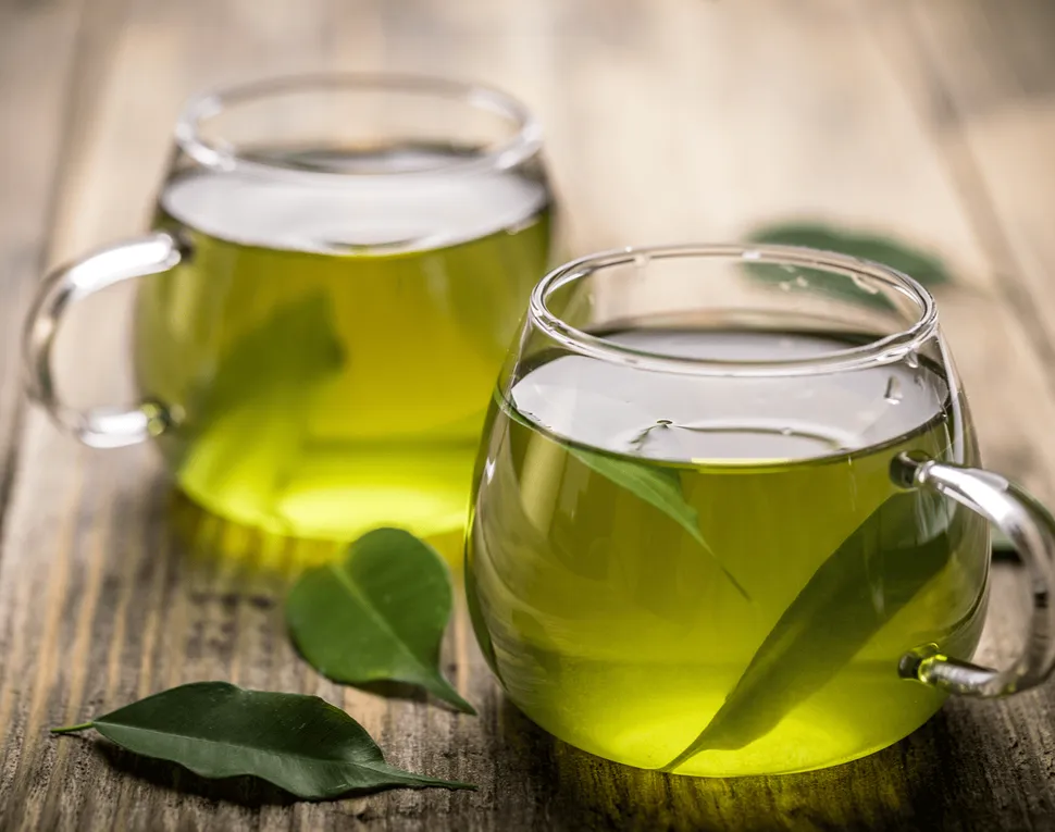 Velcade and Green Tea: A Myeloma No-No image