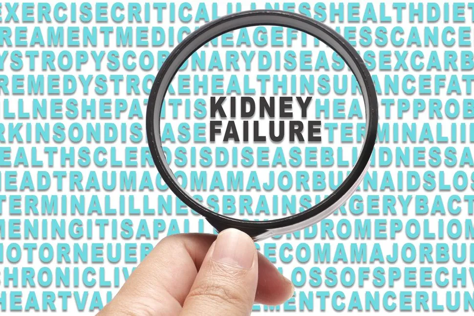 What is End Stage Kidney Disease? image