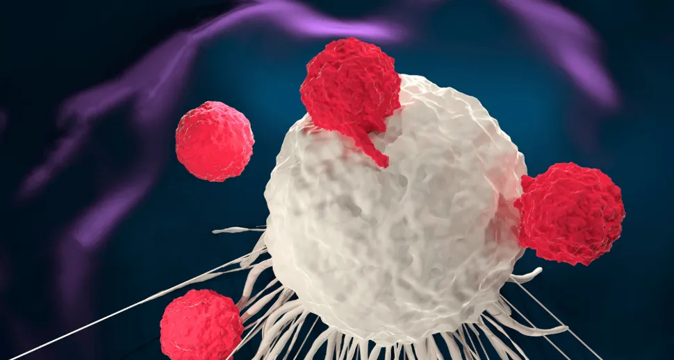 ASH 2022: Faster, More Effective CAR T in Development by BMS for Multiple Myeloma image