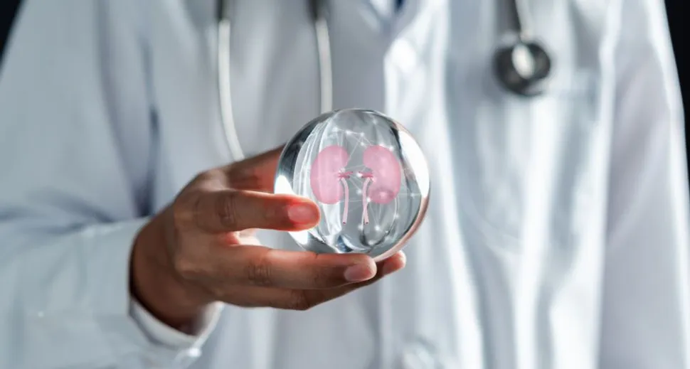 IgA Nephropathy (Berger Disease) As A Kidney Disease image