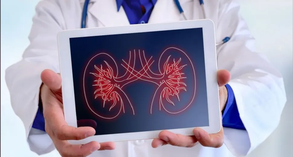 What Is APOL1-Mediated Kidney Disease (AMKD)? image