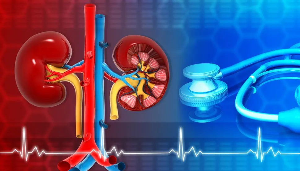 Farxiga (Dapagliflozin) And The Treatment Of Chronic Kidney Disease image