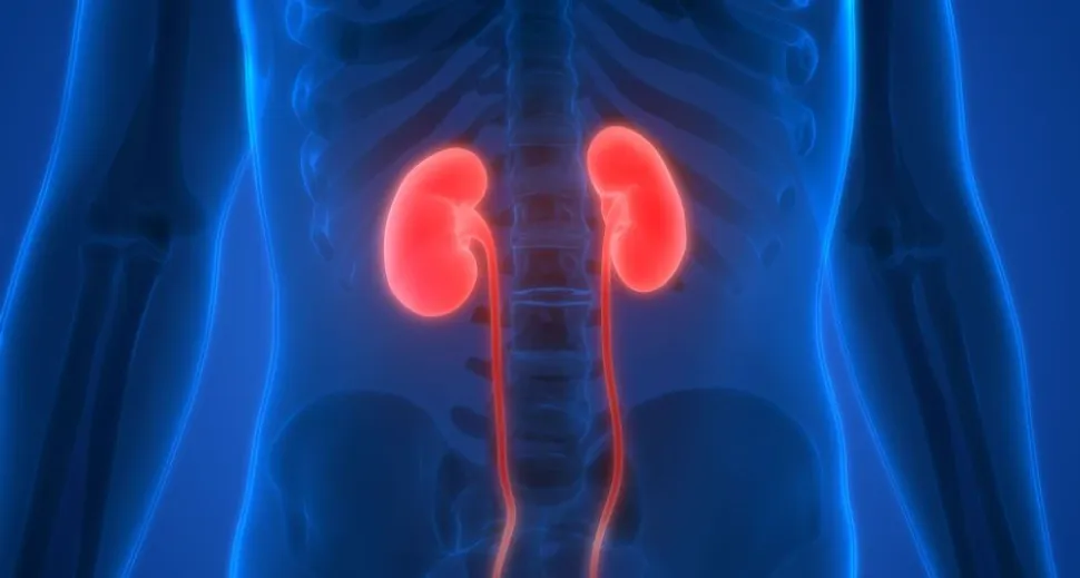 Acute Kidney Injury (AKI) and Chronic Kidney Disease (CKD) image