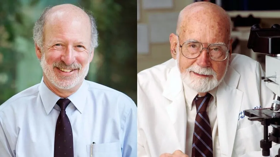 Living Medicine by Dr. Fred Appelbaum: A Book Review image