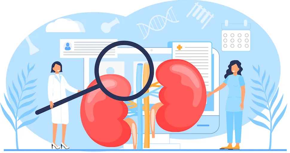 Acute Myeloid Leukemia and Your Kidneys: What You Need to Know image