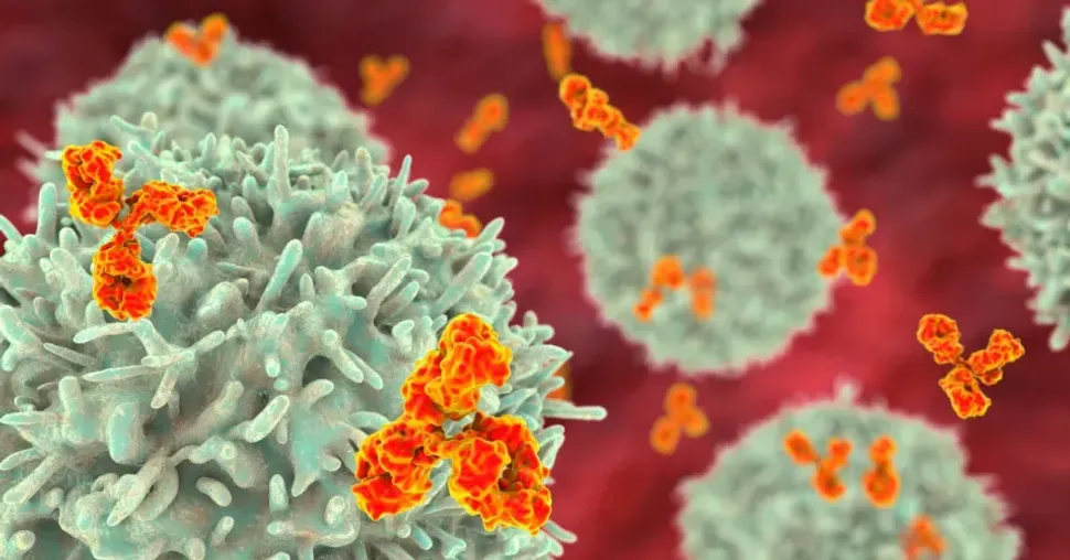 Successful Results for Pirtobrutinib in Previously Treated CLL Patients image