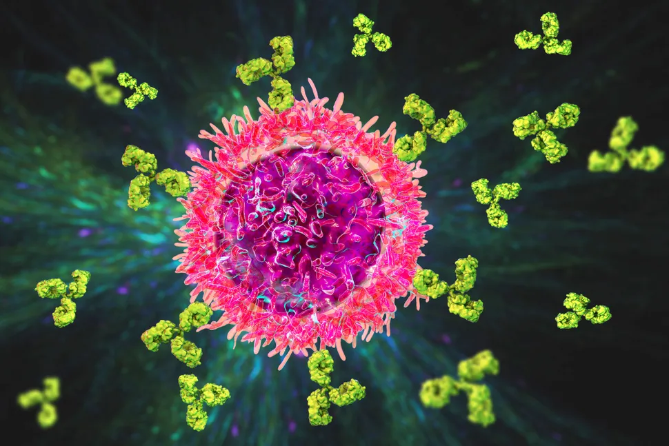 Evorpacept - A Next-Generation CD47 Inhibitor in Phase I Study for Patients With Relapsed-Refractory Lymphoma image