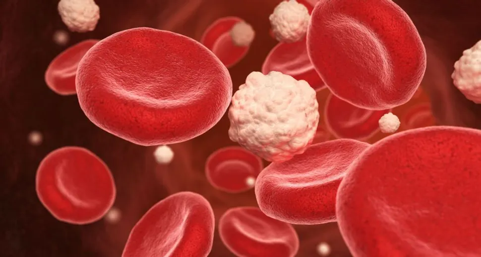 The Importance Of Glucose Levels And Cancer Cells image