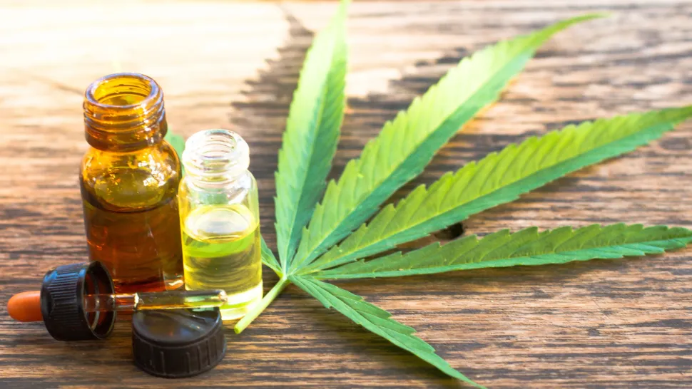 Do You Use Cannabis (Medical Marijuana) for Myeloma Pain? image