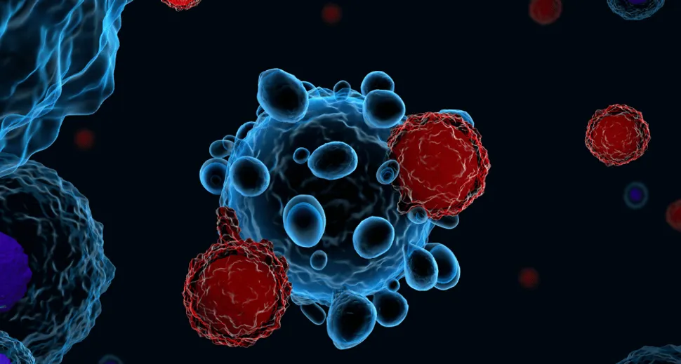 What If My CAR-T Therapy Fails? image